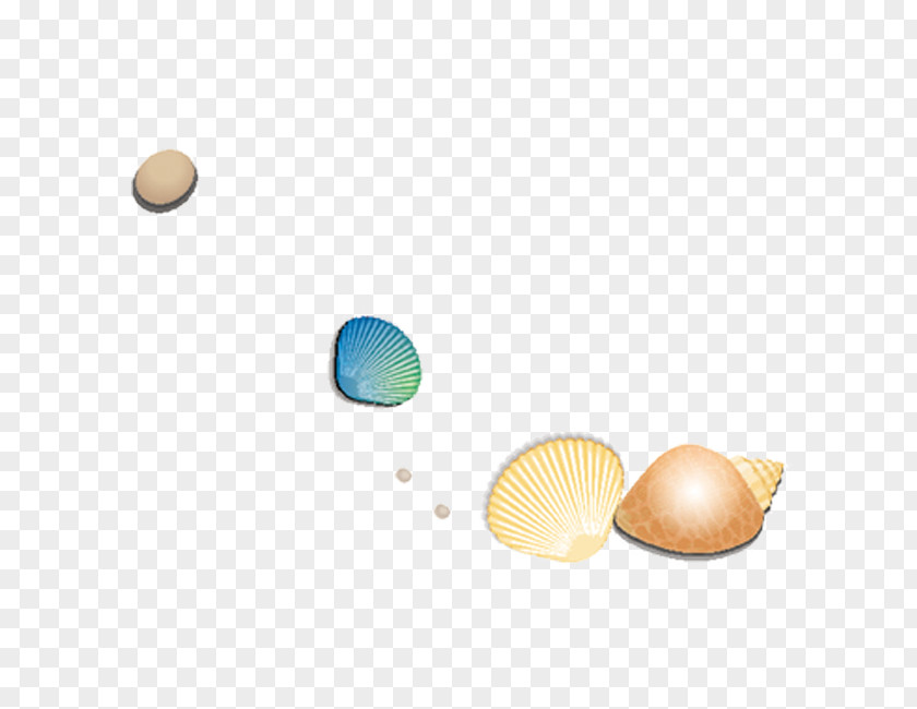 Shell Material Pattern PNG