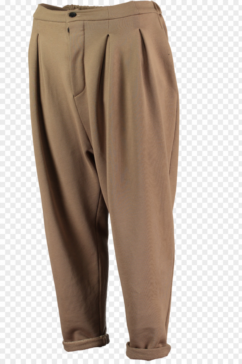 Trouser Waist Pants PNG