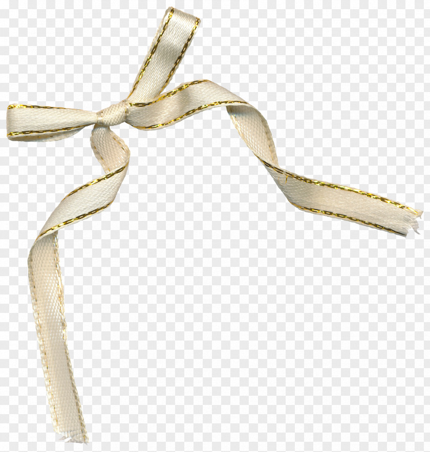 Beautiful Bow Ribbon Shoelace Knot Clip Art PNG