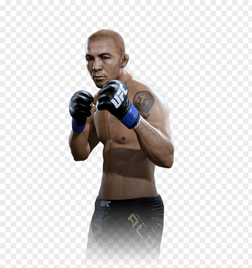Boxing José Aldo UFC 179: Vs. Mendes 2 EA Sports 12: Judgement Day PNG