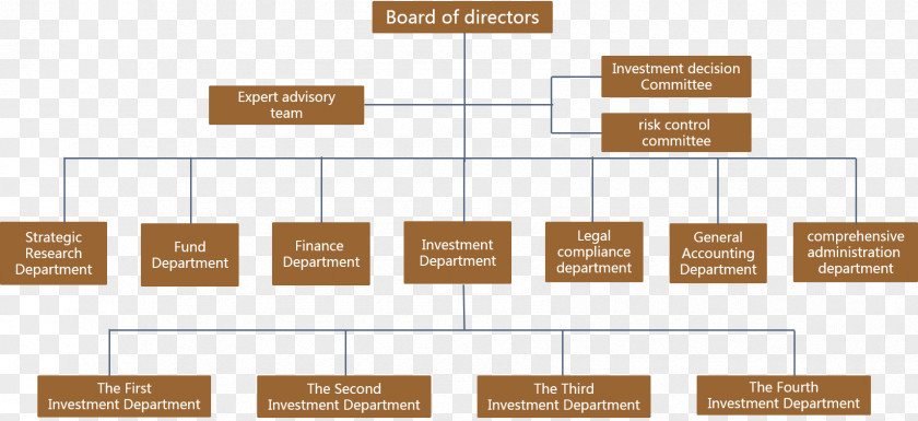 Business Organization Company Corporate Structure Board Of Directors PNG