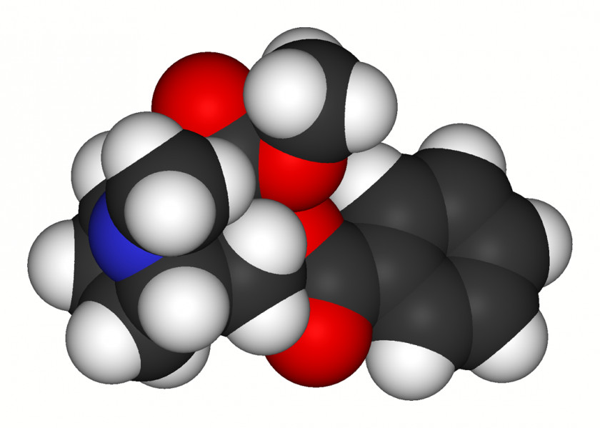 Cocain Cocaine Erythroxylum Coca Molecule Stimulant Drug PNG