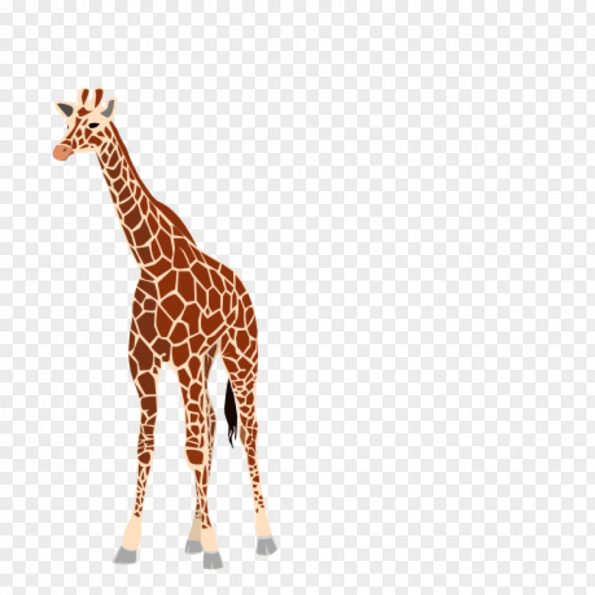 Girafee Pennant Baby Giraffes Clip Art Image Vector Graphics PNG