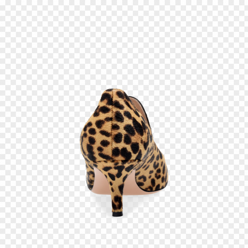 Ric Shoe Terrestrial Animal Snout PNG