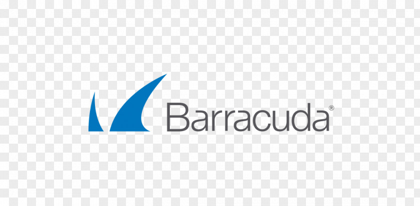 Business Barracuda Networks Computer Security System Software Information Technology PNG