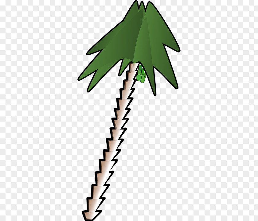Clip Art Vector Graphics Image Palm Trees PNG