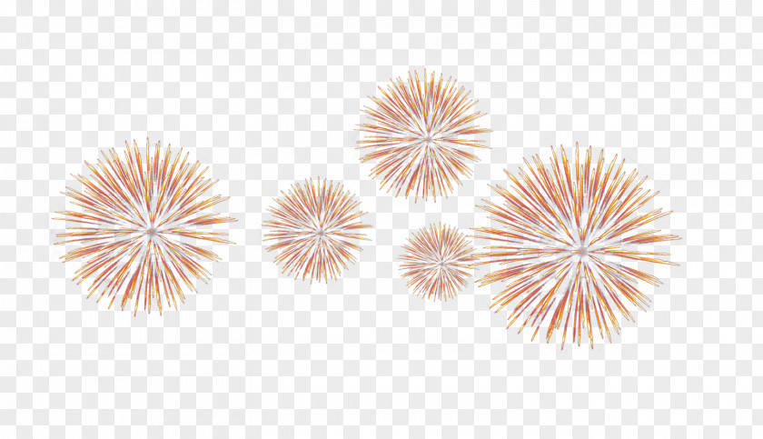 Fireworks Background Light PNG