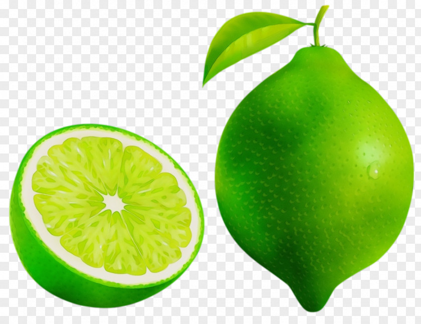 Key Lime Food Persian Green Fruit Citrus Plant PNG