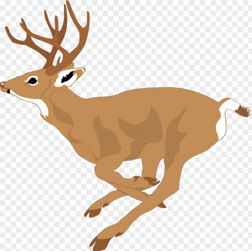 Reindeer Collar Cliparts White-tailed Deer Clip Art PNG