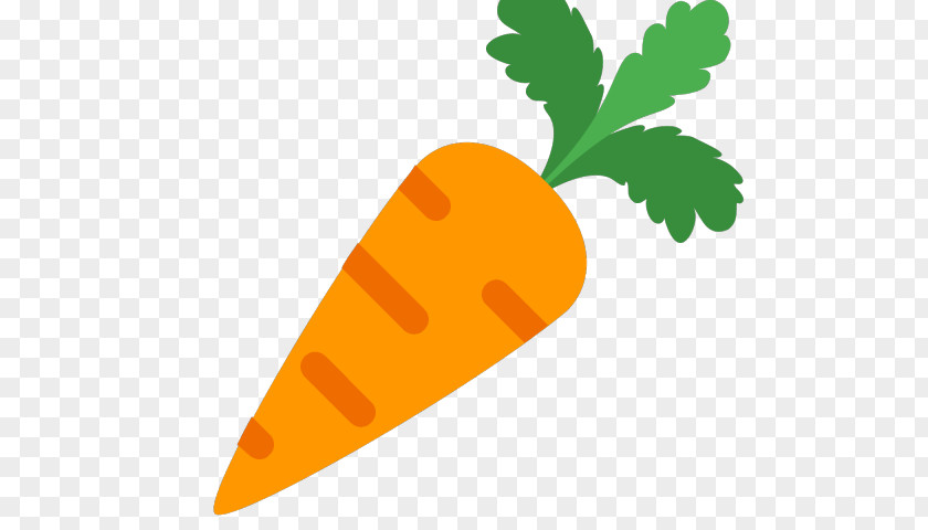 Carrot Root Vegetable Leaf Daikon PNG