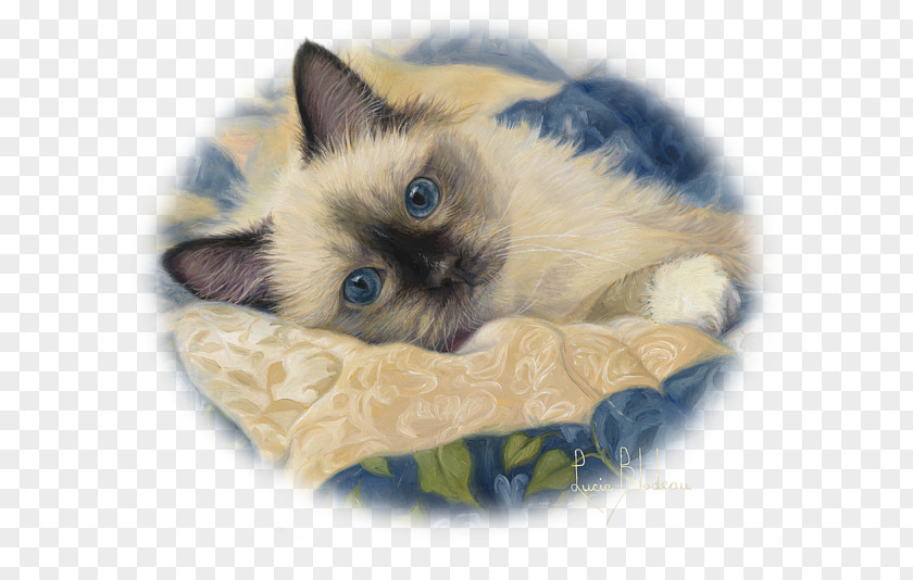Charming Siamese Cat Painting Whiskers Painter PNG