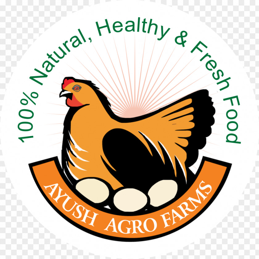 Egg Food Asil Chicken Free-range Eggs Ayush Agro Farms PNG