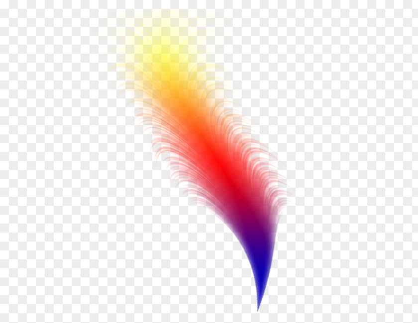 Feather Close-up Computer Wallpaper PNG