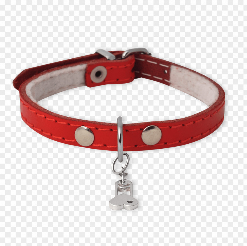 Dog Collar Bracelet PNG