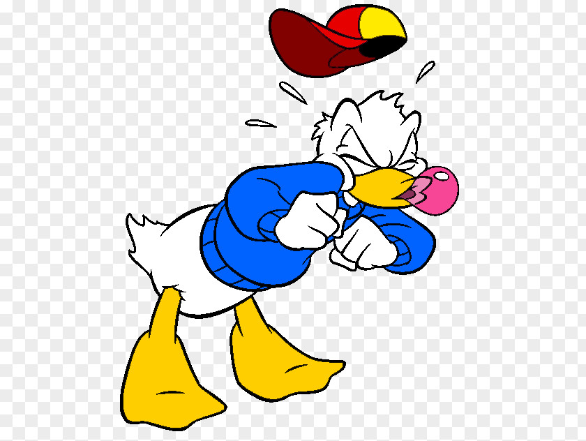 Donald Duck Daisy Clip Art GIF PNG