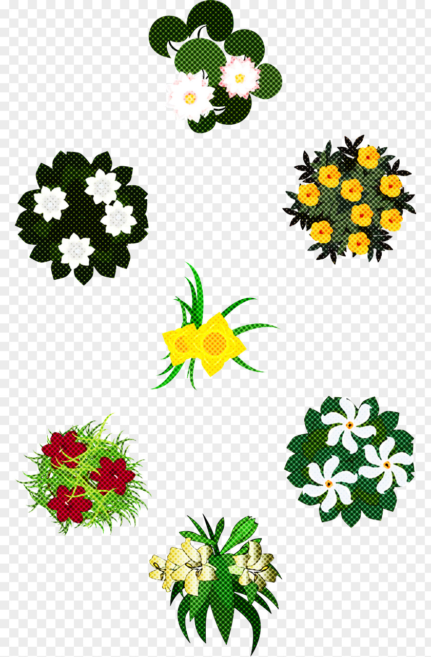 Floral Design PNG