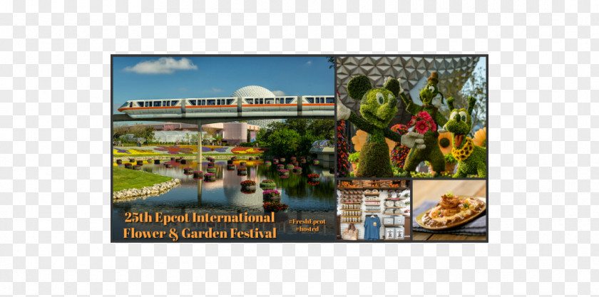 Foreign Festivals Epcot International Flower & Garden Festival The Walt Disney Company Tourism Resort PNG