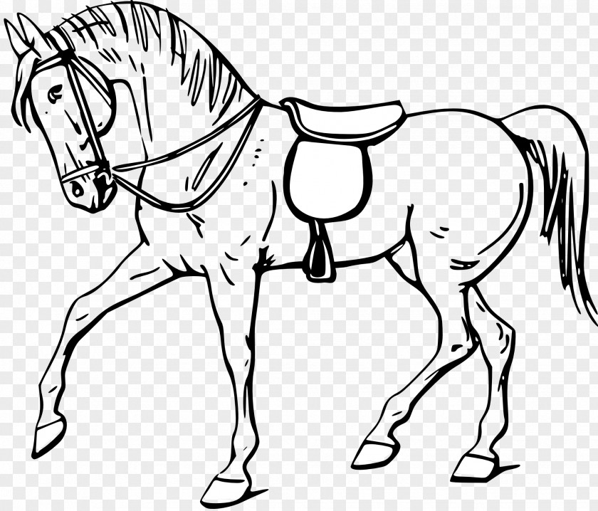 Horse Cliparts Tennessee Walking Gait Clip Art PNG