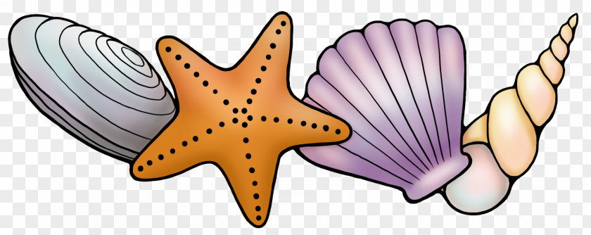 Seashell Starfish Wink Ink Clip Art PNG