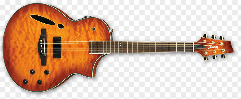 Acoustic Poster Sunburst ESP Guitars PRS Electric Guitar PNG