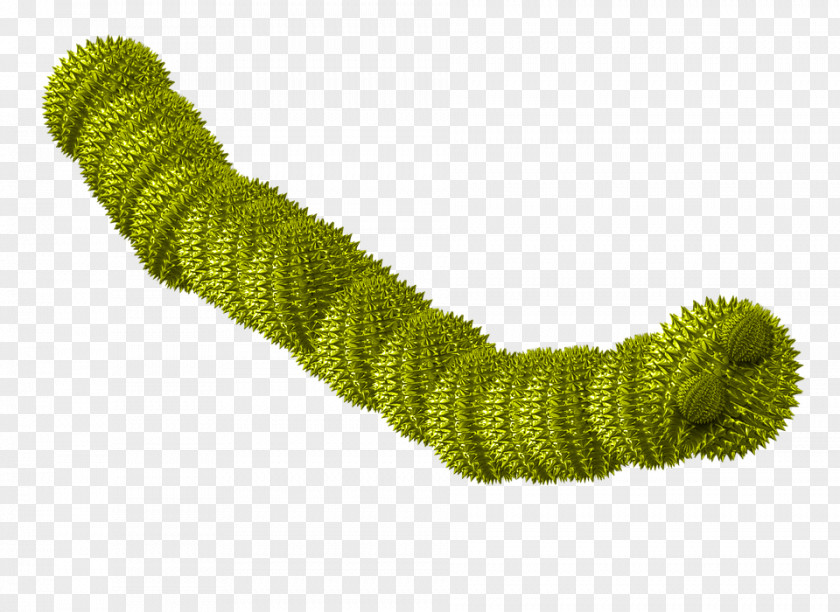 Caterpillar Computer Worm Virus Malware Spyware Trojan Horse PNG
