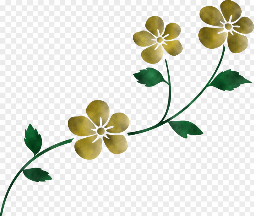 Flower Frame Decoration PNG