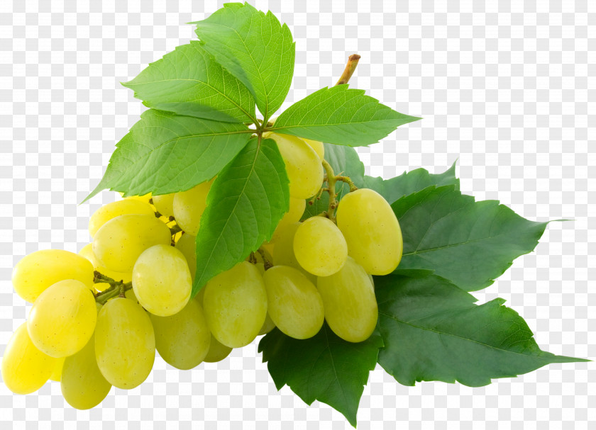 Grape Image High-definition Television 1080p Video Wallpaper PNG