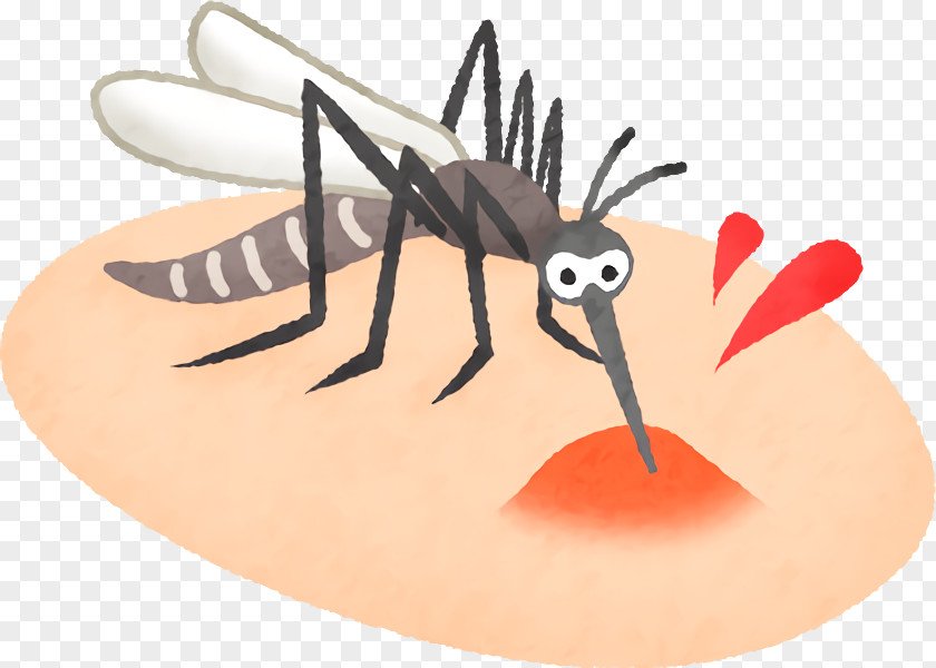 Insect Cartoon Pest Membrane-winged Honeybee PNG