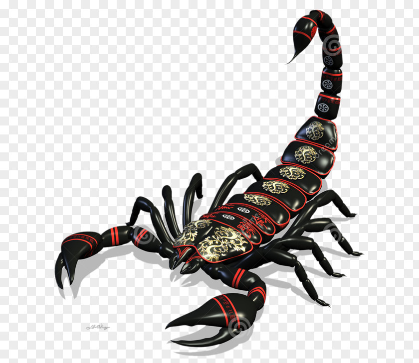 Scorpion Stock Photography Drawing PNG