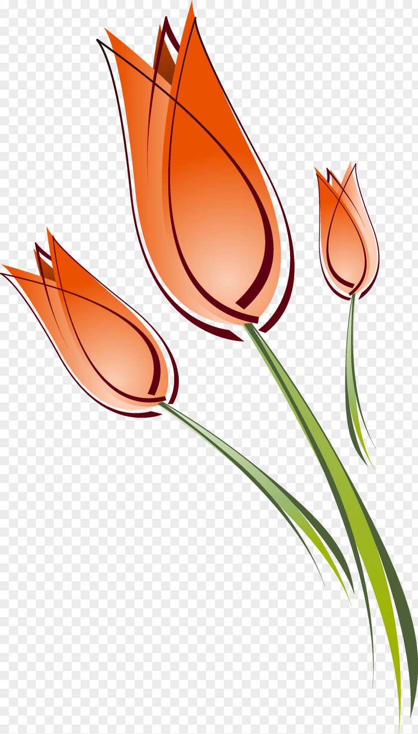 Tulip Drawing Clip Art PNG