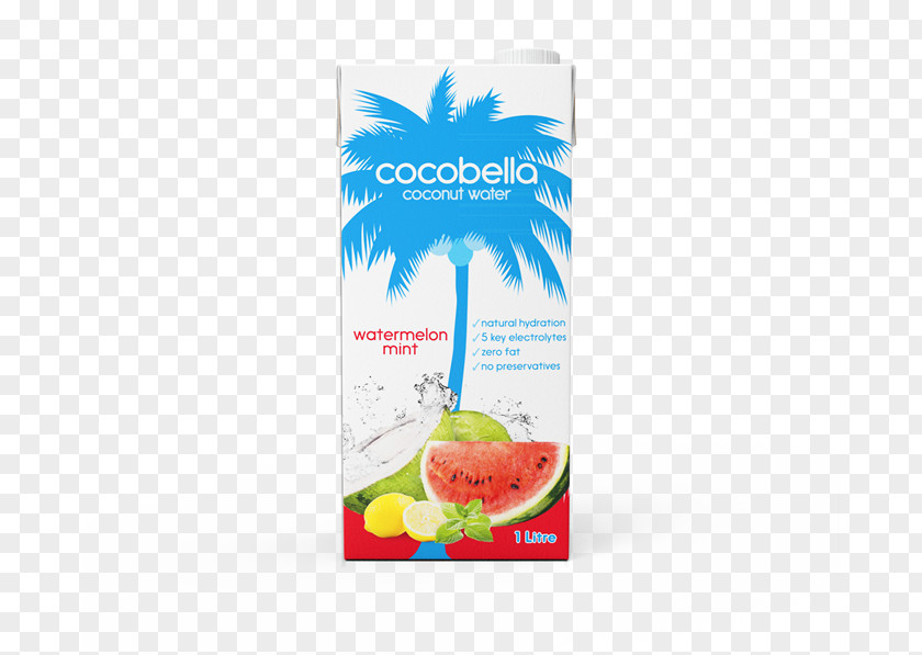 Water Coconut Sports & Energy Drinks Fizzy Juice PNG