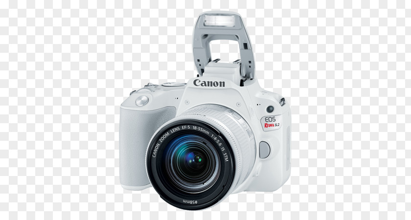 Camera Canon EOS 200D 77D Eos Rebel SL2 DSLR With 18-55mm + 75-300mm Dual Zoom Lens Kit Pro Bundle Digital SLR EF-S 18–55mm PNG