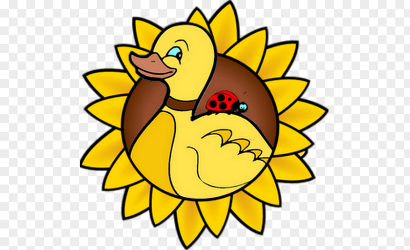 Dindon Common Sunflower Drawing Clip Art PNG