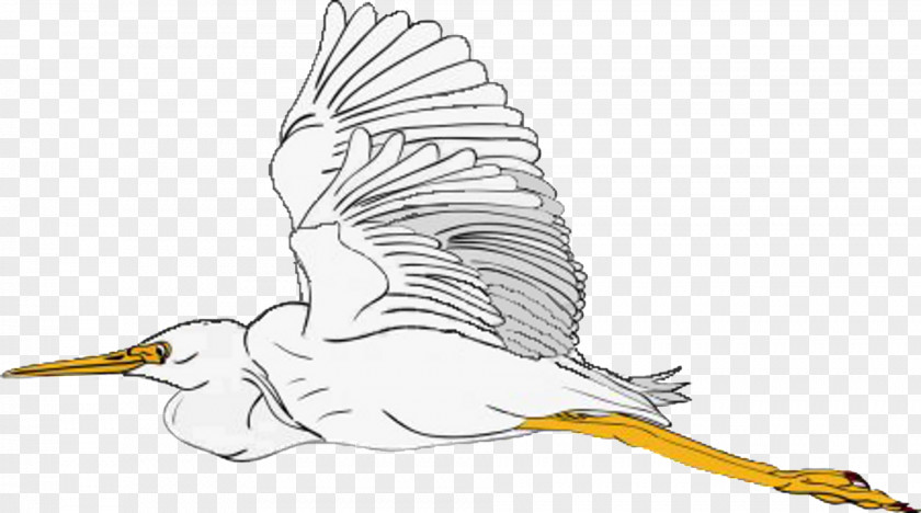Goose Beak Cygnini Illustration Clip Art PNG