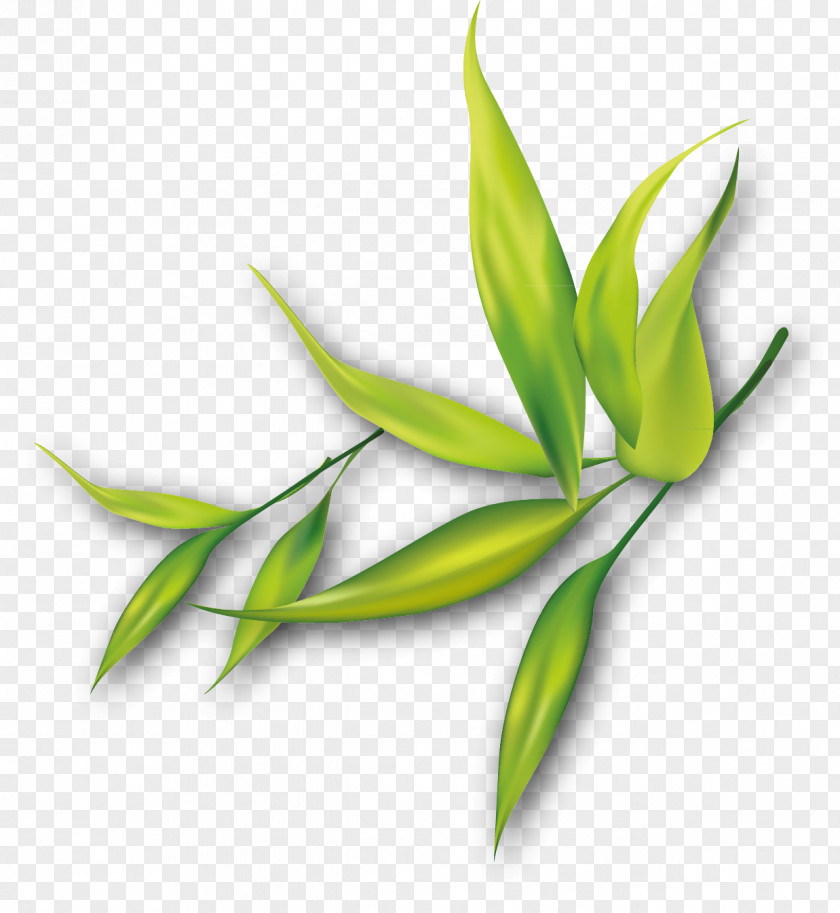 Grass Watercolor Painting Clip Art PNG