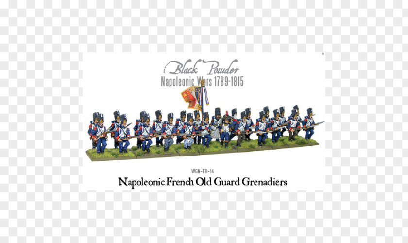 Grenadier Guards Napoleonic Wars Infantry Old Guard Imperial PNG