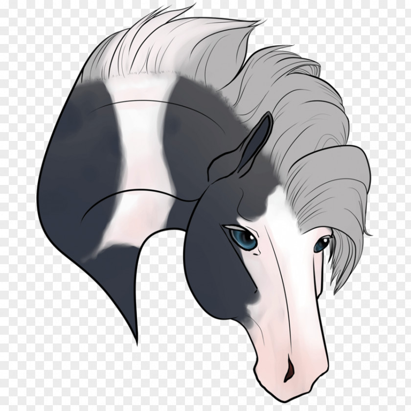 Horse Snout Pony Firestar PNG
