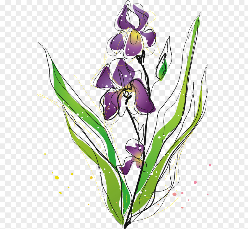 Purple Violet Vector Material Irises Moth Orchids Plant PNG