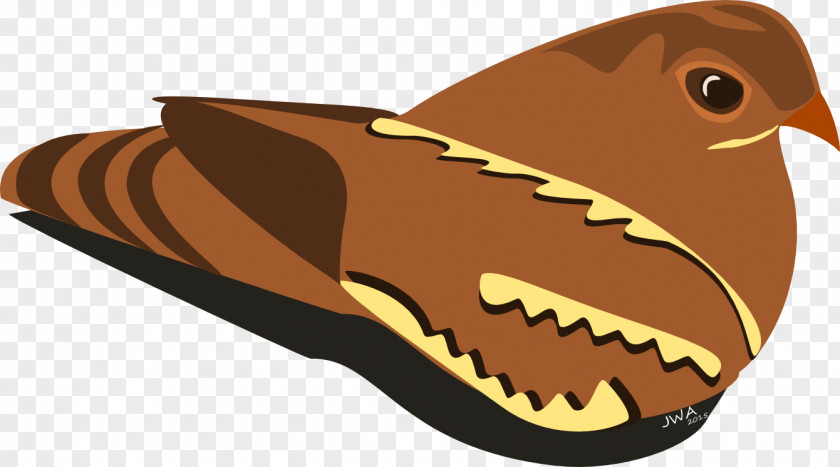 Seek The Wilds Reptile Beak Bird Lizard Jaw PNG