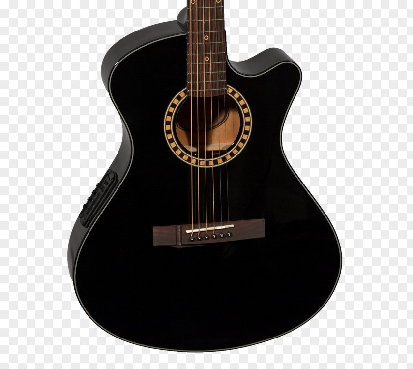 Acoustic Guitar Acoustic-electric What Bass PNG