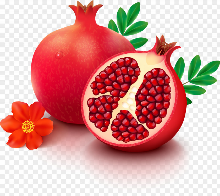 Grenade Pomegranate Fruit Stock Photography PNG
