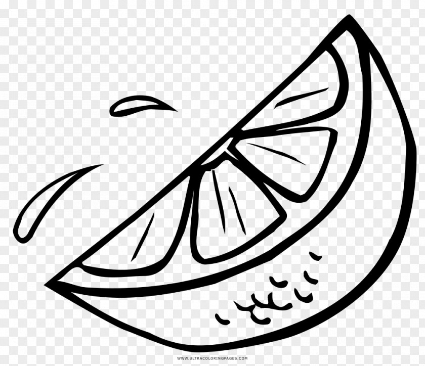 Lemon Drawing Photography PNG