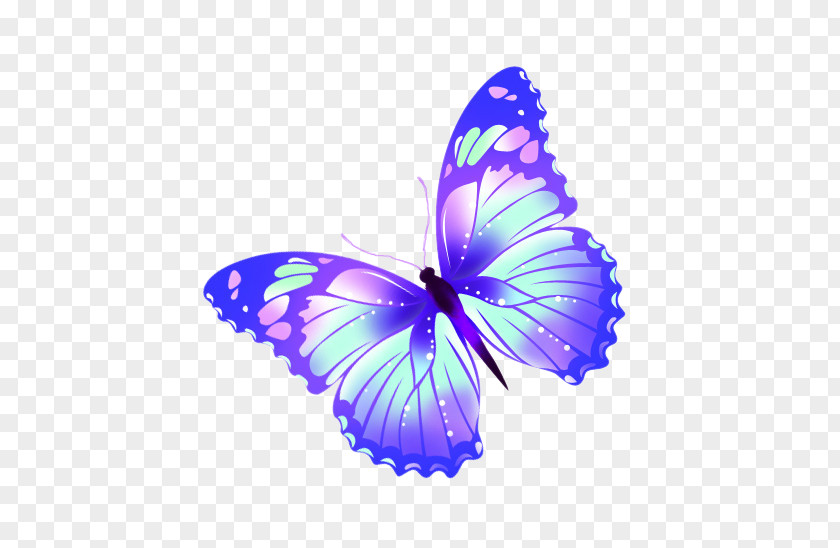 Magic Butterfly PNG