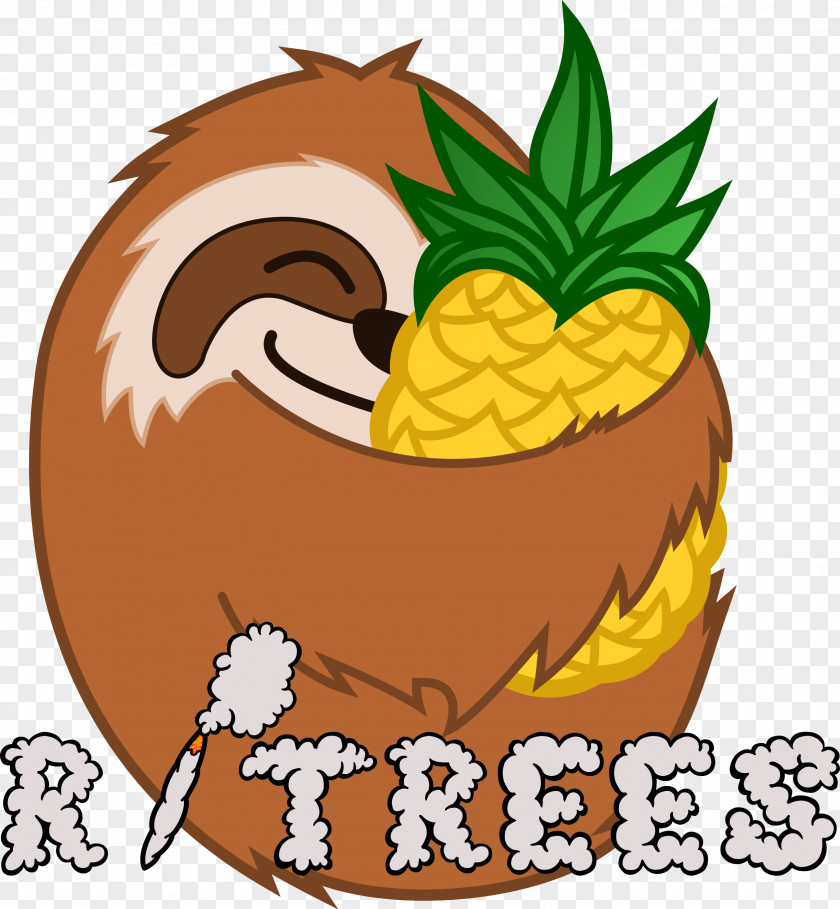 Pineapple Sloth Koala T-shirt Animal PNG