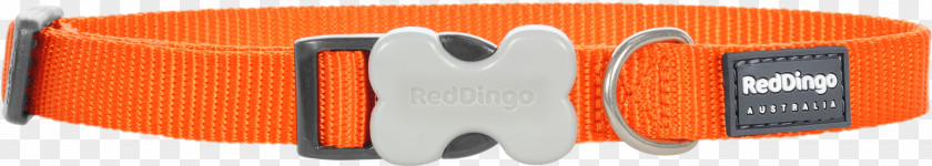 Red Collar Dog Dingo Cat Leash PNG