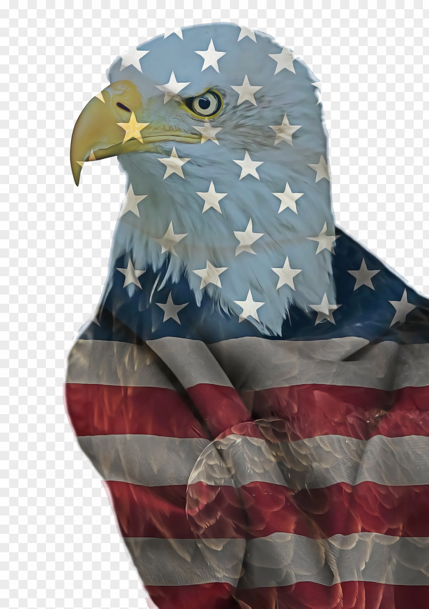 Scarf Sleeve Fourth Of July Background PNG