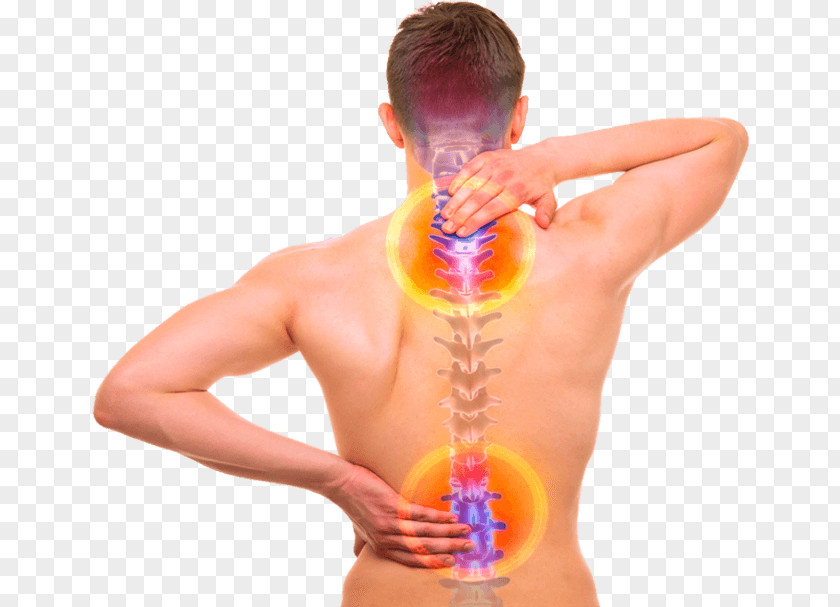 Spine Pain Institute Back Vertebral Column Human Body Bone PNG