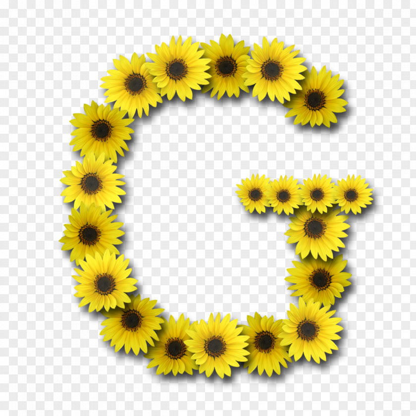Sunflower Aestheticism Letter Case Alphabet N G PNG