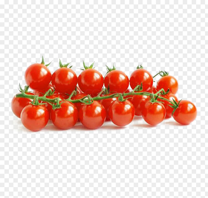 A String Of Small Persimmon Juice Cherry Tomato Cherokee Purple Blue Seed PNG