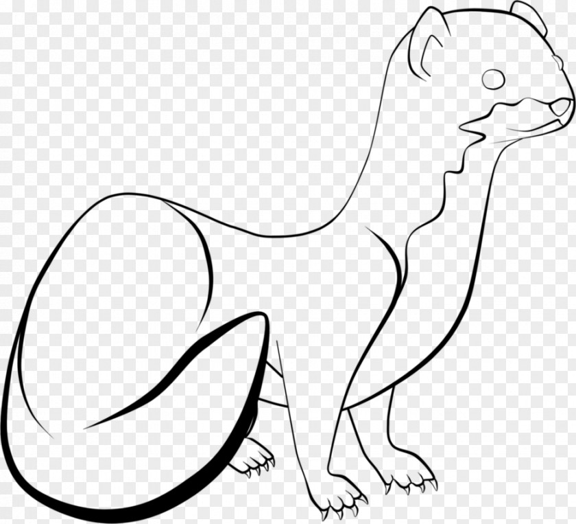 Cat Whiskers Stoat Drawing Long-tailed Weasel Line Art PNG